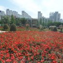 장미의거리 입구 이미지