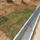 코코앤잭슨 이미지