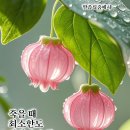효정봉사단 [4/11(토) 대한민국 임시정부 수립 107주년 기념 8위 선열 숭모제전 / 효창원] 이미지