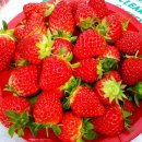 태성농장 이미지