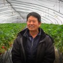 금반농원 네이버블로그