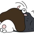 엠카오디오