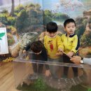 블랙스폿 Daum카페