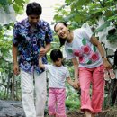 다혜농장 이미지