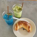동막골캠프 | [제주도 2박3일 여행] 1일차 동쪽 코스_ 카멜커피,코난해변,성산일출봉,광치기해변,플레이스 캠프 제주