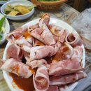 둥지실내마차 네이버블로그