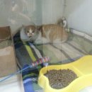 애니힐동물병원 이미지