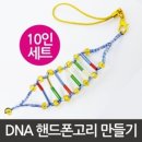 G00160 | DNA 핸드폰고리 만들기 (10인용)