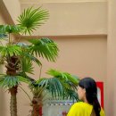 버거베이 이미지