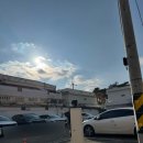 펫더데이 이미지