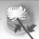 몸펴기 생활운동 B 이미지