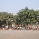 뿌리광장 이미지