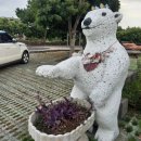 제주도유 이미지