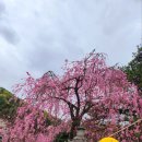수양천안·아산