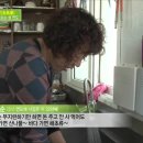 해녀민텔 Daum카페