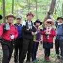 대관령 하루 이미지