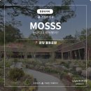 워시드카 | 분당 율동공원 공부하기 좋은 카페 [모쓰] 정원뷰 브런치·디너까지 가능한 cafe mosss 카쉐린 후기