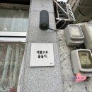 [ 양덕동 예쁨으로물들다 ] 마산 창원 네일 패디 자석네일 솔직후기