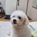 마로가든 이미지