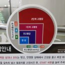 부정맥 증상 원인 치료방법 부정맥에좋은음식 이미지