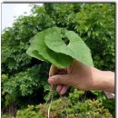 대관령 성황사 및 산신각(강릉관리) 이미지