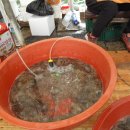 숙성시장길 이미지