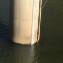 학동제일 이미지