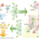 [2025 DAILY PICK 제175호] ‘KAIST, 세포·약물 반응 조립·예측하는 AI 기술 개발’ 등 이미지