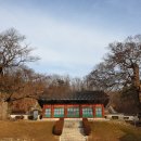 이이축산