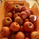 달밭농장 이미지