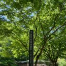 용현목장 | 3박4일 서산여행 2일차-1(스탬프투어. 서산용현리마애삼존상.서산한우목장.해미읍성)