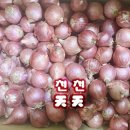 천천식품 이미지