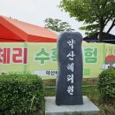 약산체리원 파주 1년에 딱 한 달만 가능한 체리농장 체험 찐 후기