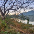 양지-3560 이미지