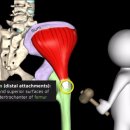 핏버디짐 이미지