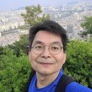 개미행정사 이미지