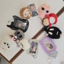 루네 | day6 zip 후기 &amp; 모아와 루네의 만남🩵🖤