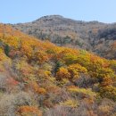 10/13[일]가평 화악산+단풍산행+조무락골-산행안내/좌석표 이미지