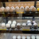 배고픈 모찌 이미지