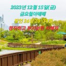 2023년 12월 15일(금) 금요철야예배 잠언 24장 23~34절 정직하고 부지런한 지혜자 이미지