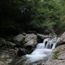 가평 숲속의 계곡 펜션 이미지