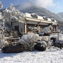 에버그린민박 이미지