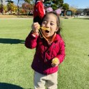 은어송이테마공원 이미지