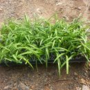 박정자농장 이미지