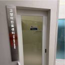 공원옆동물의료센터 | 천안 고양이 동물병원 추천! 유기묘 모모의 묘생 첫 정밀 건강검진 후기 1편 (feat. 힐로동물의료센터)