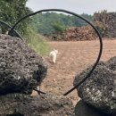 스테이선자우 이미지