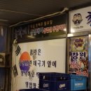 총각네애견 네이버블로그