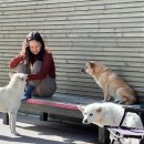 이효리 카카오 검색결과