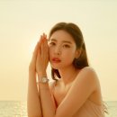 선미네 스타뉴스
