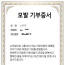살롱드혜리